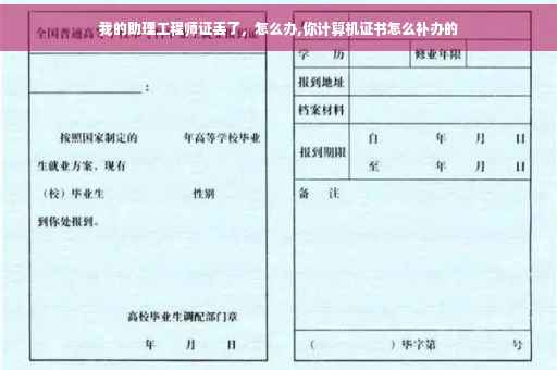 我的助理工程师证丢了，怎么办,你计算机证书怎么补办的