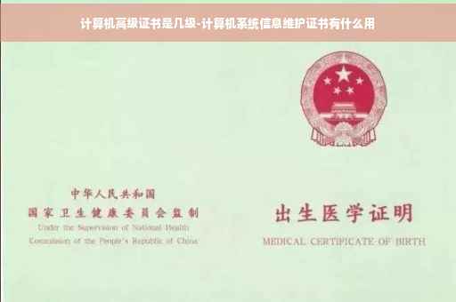 计算机高级证书是几级-计算机系统信息维护证书有什么用 计算机高级证书是几级-计算机系统信息维护证书有什么用