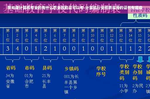 想知道计算机专业的有什么职业技能证可以考-计算机行业招聘实用的证书有哪些