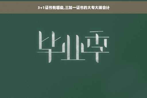 3+1证书有哪些,三加一证书的大专大埔会计
