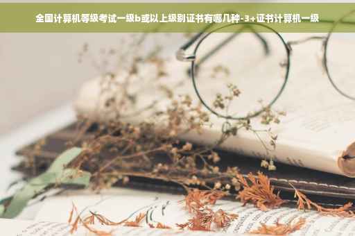 全国计算机等级考试一级b或以上级别证书有哪几种-3+证书计算机一级 全国计算机等级考试一级b或以上级别证书有哪几种-3+证书计算机一级