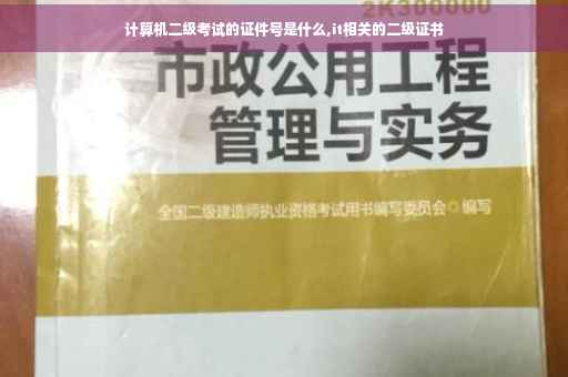 计算机二级考试的证件号是什么,it相关的二级证书