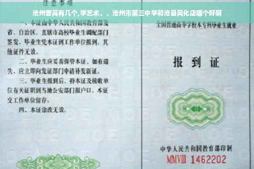 沧州普高有几个,学艺术、、沧州市第三中学和沧县风化店哪个好啊