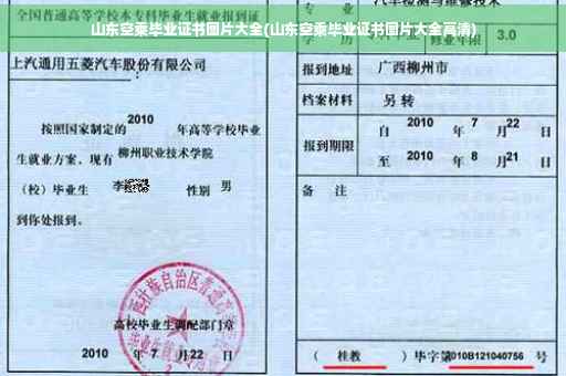 山东空乘毕业证书图片大全(山东空乘毕业证书图片大全高清)