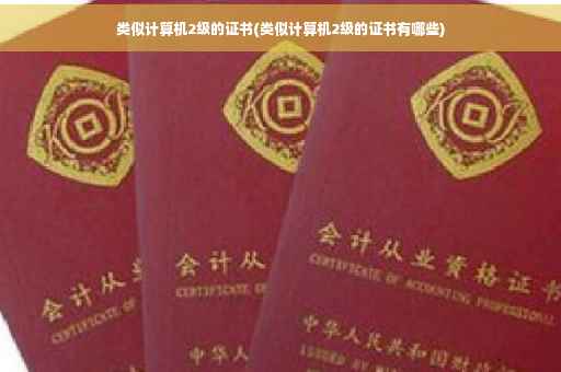 类似计算机2级的证书(类似计算机2级的证书有哪些)