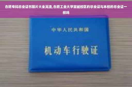 合肥专科毕业证书图片大全高清,合肥工业大学宣城校区的毕业证与本校的毕业证一样吗