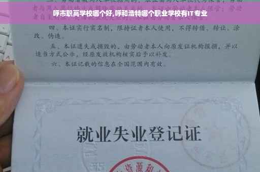 呼市职高学校哪个好,呼和浩特哪个职业学校有IT专业