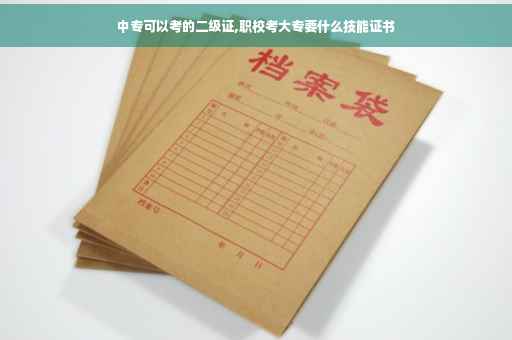 中专可以考的二级证,职校考大专要什么技能证书