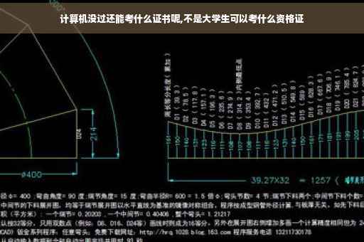 计算机没过还能考什么证书呢,不是大学生可以考什么资格证