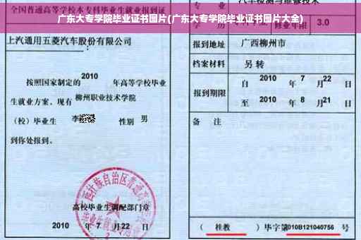 广东大专学院毕业证书图片(广东大专学院毕业证书图片大全)