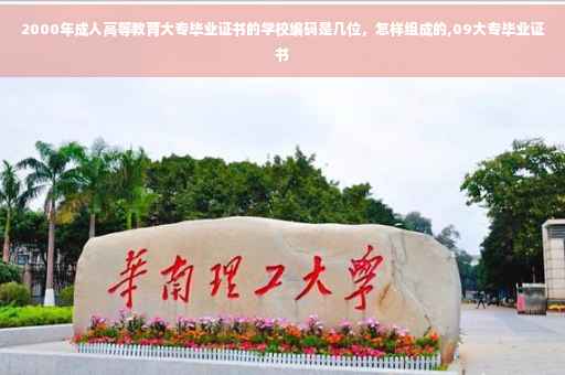 2000年成人高等教育大专毕业证书的学校编码是几位，怎样组成的,09大专毕业证书