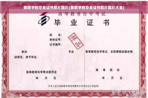 慈明学校毕业证书照片图片(慈明学校毕业证书照片图片大全)