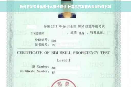软件开发专业需要什么资格证书-计算机开发有含金量的证书吗