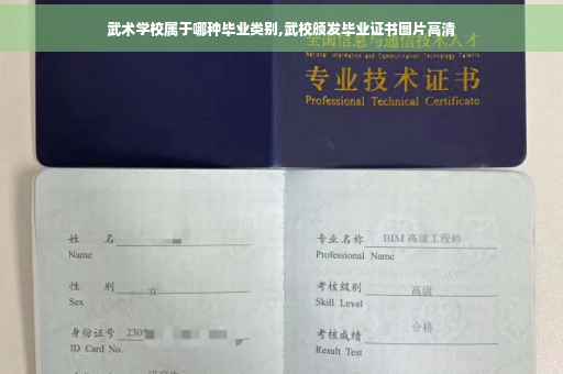 武术学校属于哪种毕业类别,武校颁发毕业证书图片高清