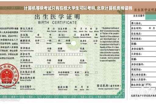 计算机等级考试只有在校大学生可以考吗,北京计算机资格证书