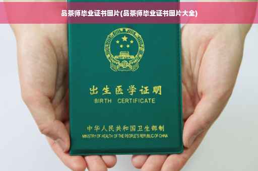 品茶师毕业证书图片(品茶师毕业证书图片大全)