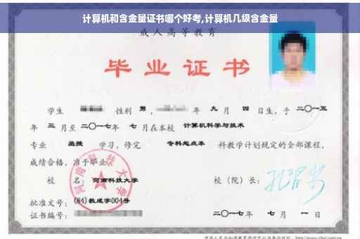 计算机和含金量证书哪个好考,计算机几级含金量