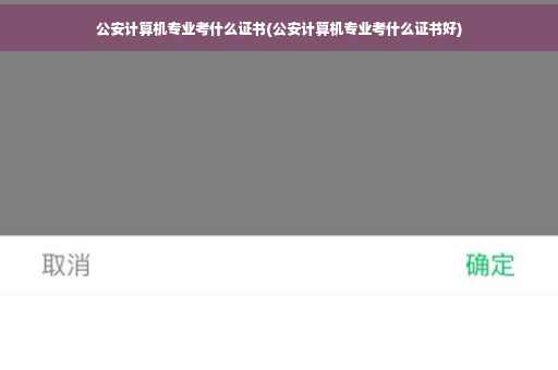 公安计算机专业考什么证书(公安计算机专业考什么证书好)