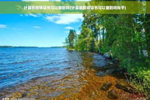 计算机初级证书可以查到吗(计算机初级证书可以查到吗知乎)