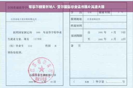 祖菲尔糖果创始人-斐尔国际毕业证书图片高清大图