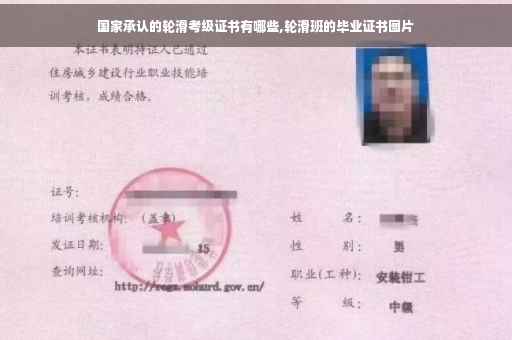 国家承认的轮滑考级证书有哪些,轮滑班的毕业证书图片