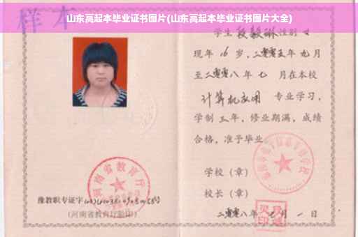 山东高起本毕业证书图片(山东高起本毕业证书图片大全)