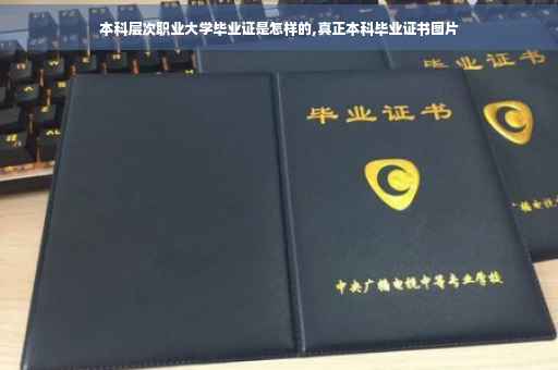 本科层次职业大学毕业证是怎样的,真正本科毕业证书图片
