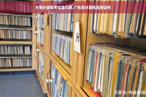 大专计算机考试是几级,广东省计算机应用证书 大专计算机考试是几级,广东省计算机应用证书