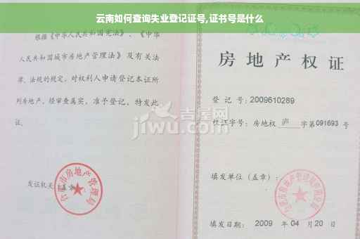 云南如何查询失业登记证号,证书号是什么