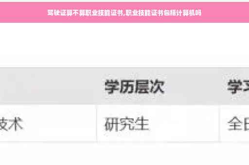 驾驶证算不算职业技能证书,职业技能证书包括计算机吗