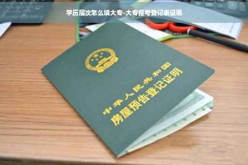 学历层次怎么填大专-大专报考登记表证明