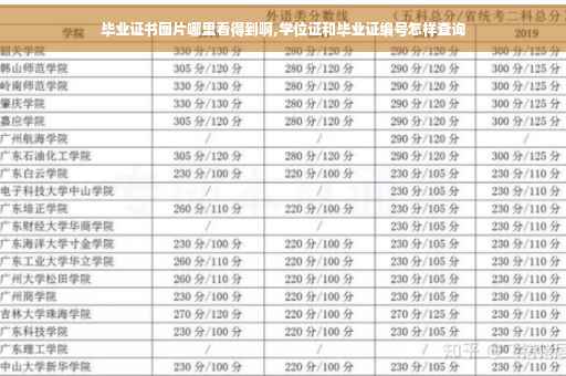 毕业证书图片哪里看得到啊,学位证和毕业证编号怎样查询