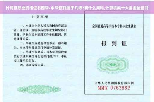 计算机职业资格证书四级/中级技能属于几级?有什么用吗,计算机类十大含金量证书