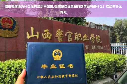 微信电脑版为什么没有显示不出来,微信钱包设置里的数字证书是什么？启动有什么好处