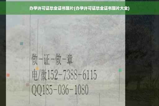 办学许可证毕业证书图片(办学许可证毕业证书图片大全)