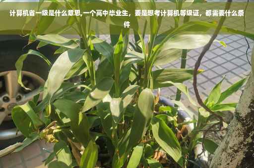 计算机省一级是什么意思,一个高中毕业生，要是想考计算机等级证，都需要什么条件