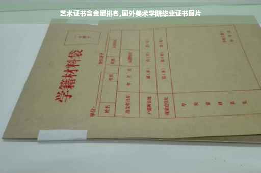 艺术证书含金量排名,国外美术学院毕业证书图片