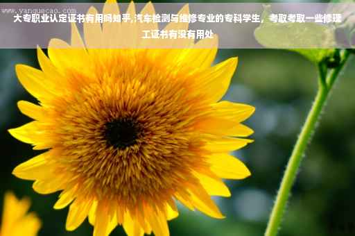 大专职业认定证书有用吗知乎,汽车检测与维修专业的专科学生，考取考取一些修理工证书有没有用处