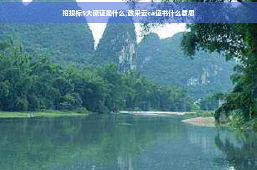 招投标5大原证是什么,政采云ca证书什么意思