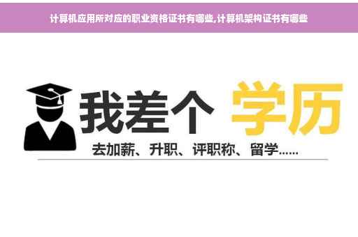 计算机应用所对应的职业资格证书有哪些,计算机架构证书有哪些