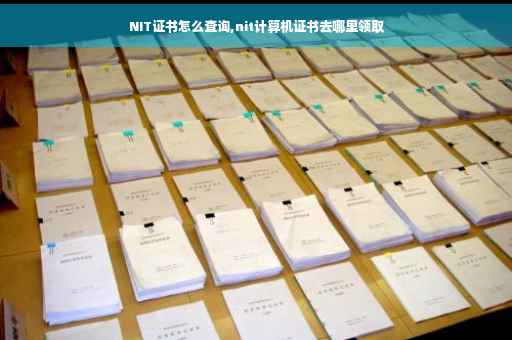 NIT证书怎么查询,nit计算机证书去哪里领取