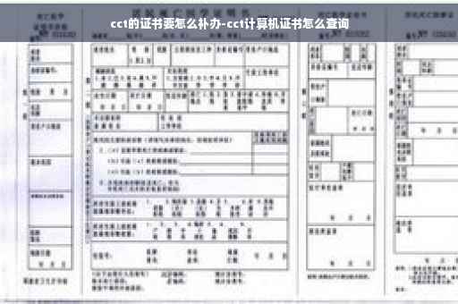 cct的证书要怎么补办-cct计算机证书怎么查询