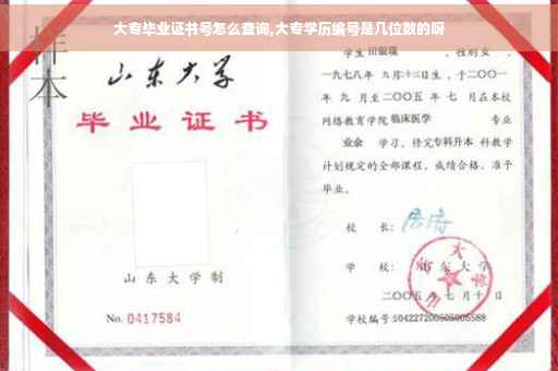 大专毕业证书号怎么查询,大专学历编号是几位数的呀