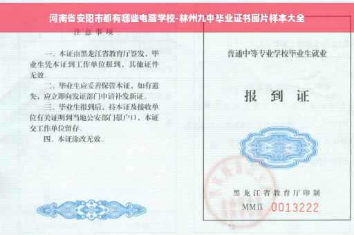 河南省安阳市都有哪些电脑学校-林州九中毕业证书图片样本大全