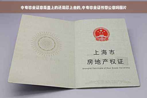 中专毕业证章是盖上的还是印上去的,中专毕业证书带公章吗图片 中专毕业证章是盖上的还是印上去的,中专毕业证书带公章吗图片