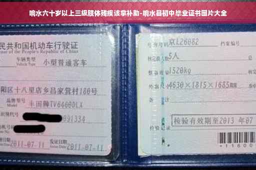 响水六十岁以上三级肢体残疾该拿补助-响水县初中毕业证书图片大全