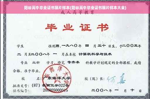 阳谷高中毕业证书图片样本(阳谷高中毕业证书图片样本大全)