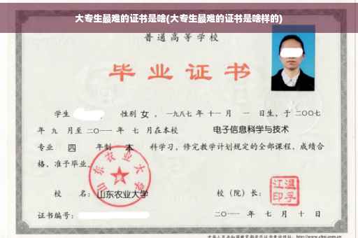 大专生最难的证书是啥(大专生最难的证书是啥样的)