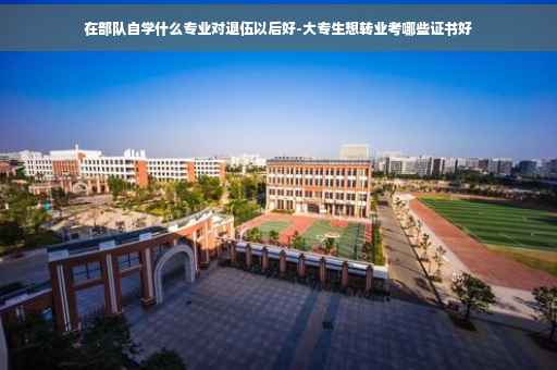 在部队自学什么专业对退伍以后好-大专生想转业考哪些证书好 在部队自学什么专业对退伍以后好-大专生想转业考哪些证书好