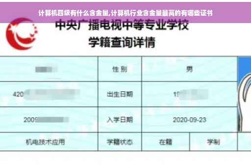 计算机四级有什么含金量,计算机行业含金量最高的有哪些证书